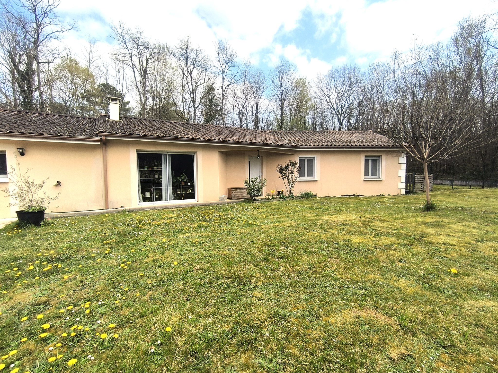 Agence immobilière de NETO